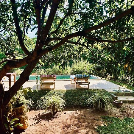 Shan Mango Homestay Сигирия Экстерьер фото