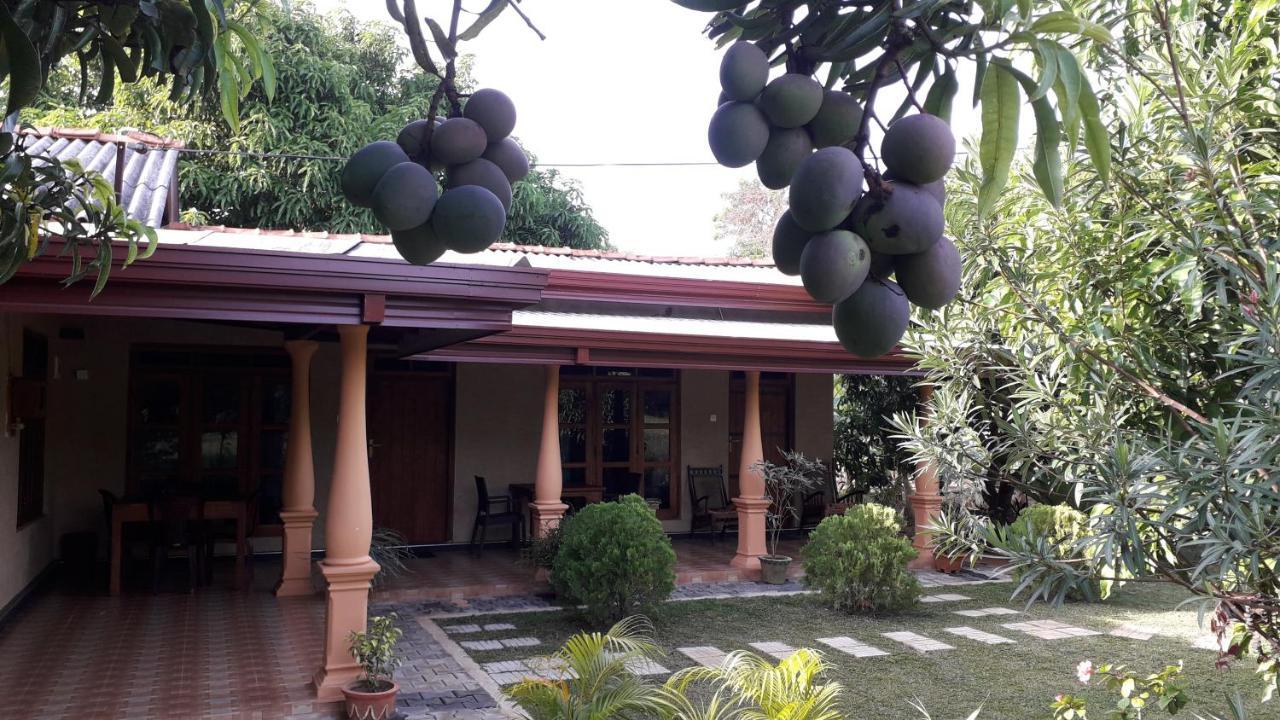 Shan Mango Homestay Сигирия Экстерьер фото