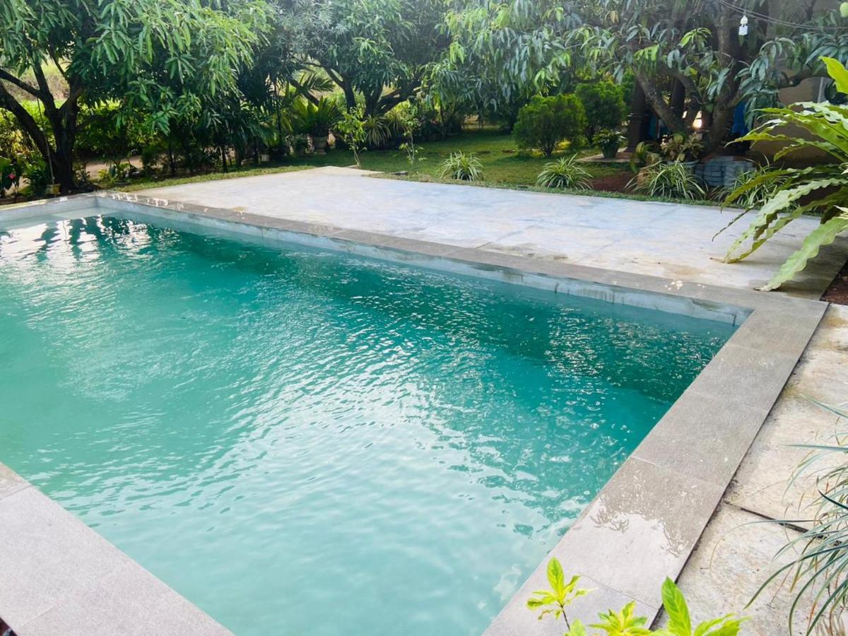 Shan Mango Homestay Сигирия Экстерьер фото