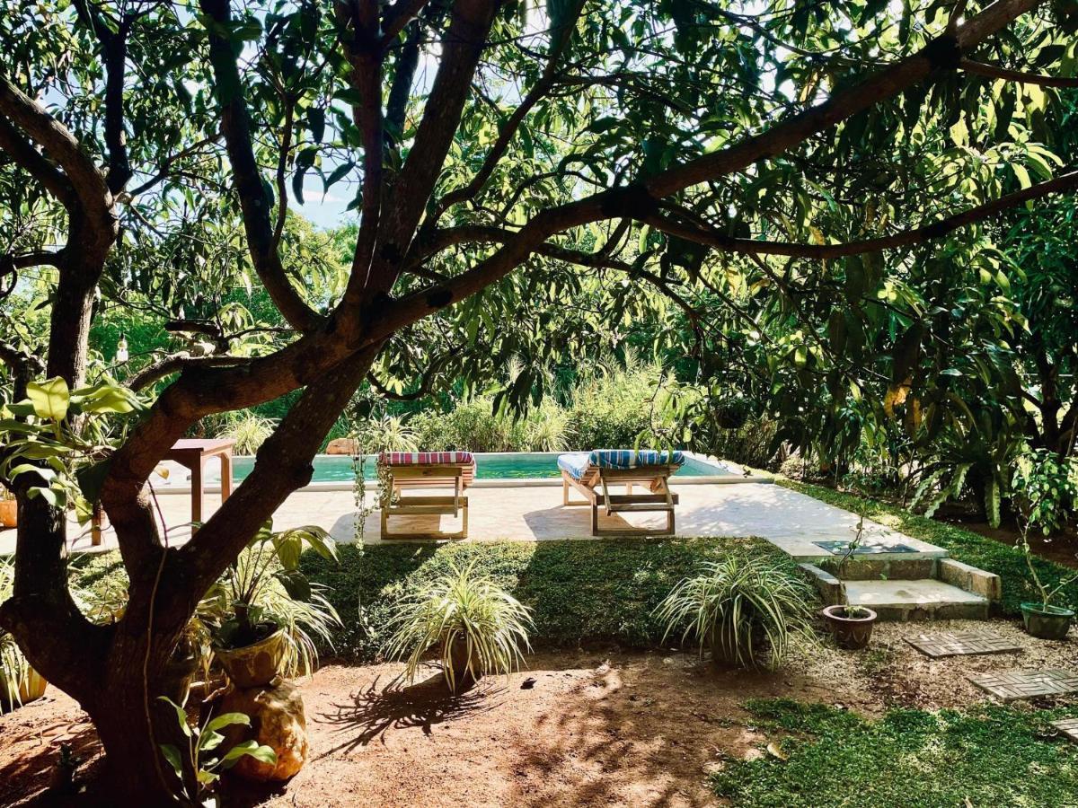 Shan Mango Homestay Сигирия Экстерьер фото
