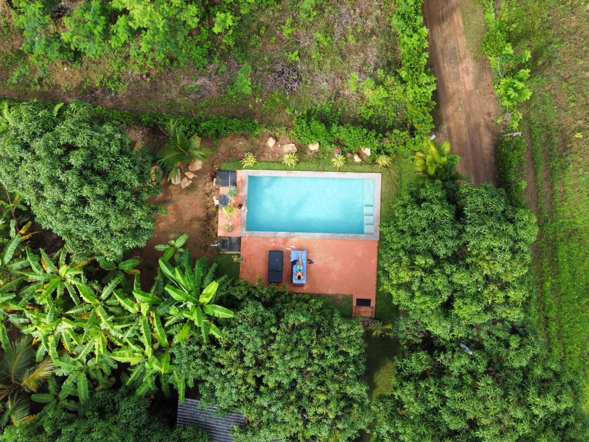 Shan Mango Homestay Сигирия Экстерьер фото