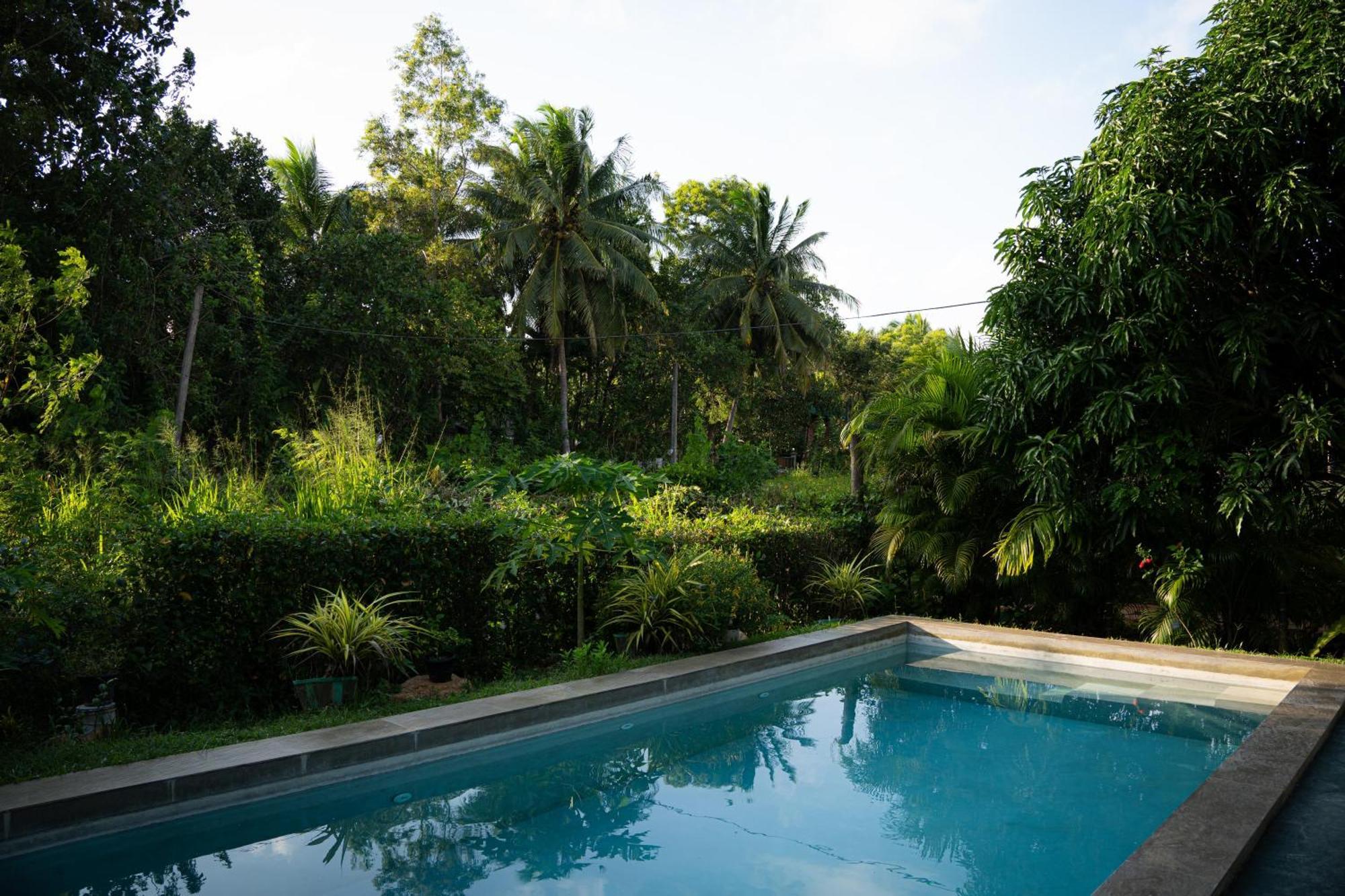 Shan Mango Homestay Сигирия Экстерьер фото